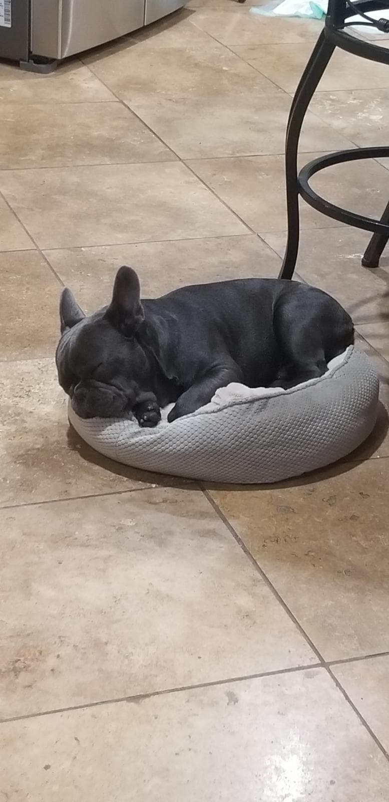 drax sleeping