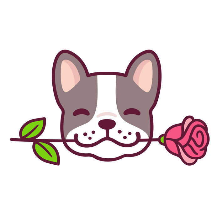 frenchie with flower-img